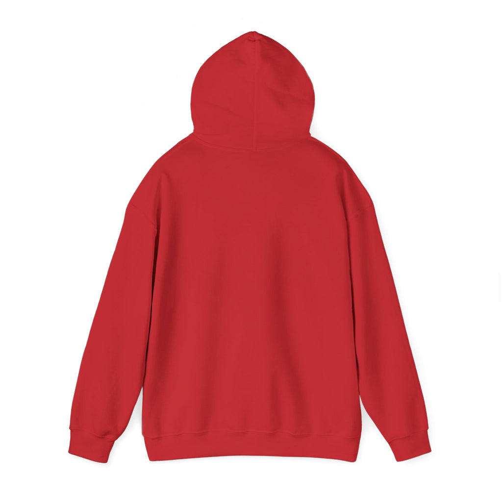Billiards Logo Fendlay Hoodie | Pool Cue & Rack Sweatshirt