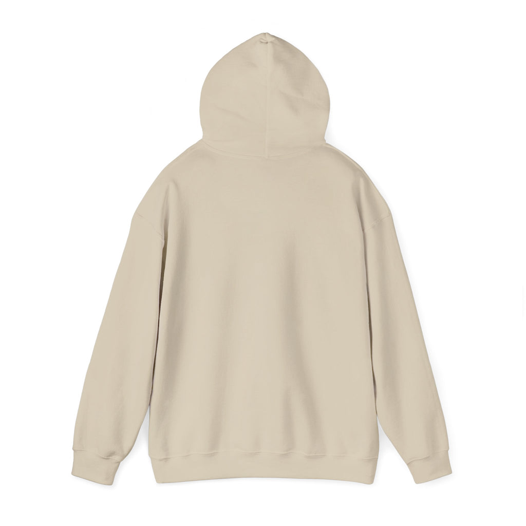 Billiards Logo Fendlay Hoodie | Pool Cue & Rack Sweatshirt